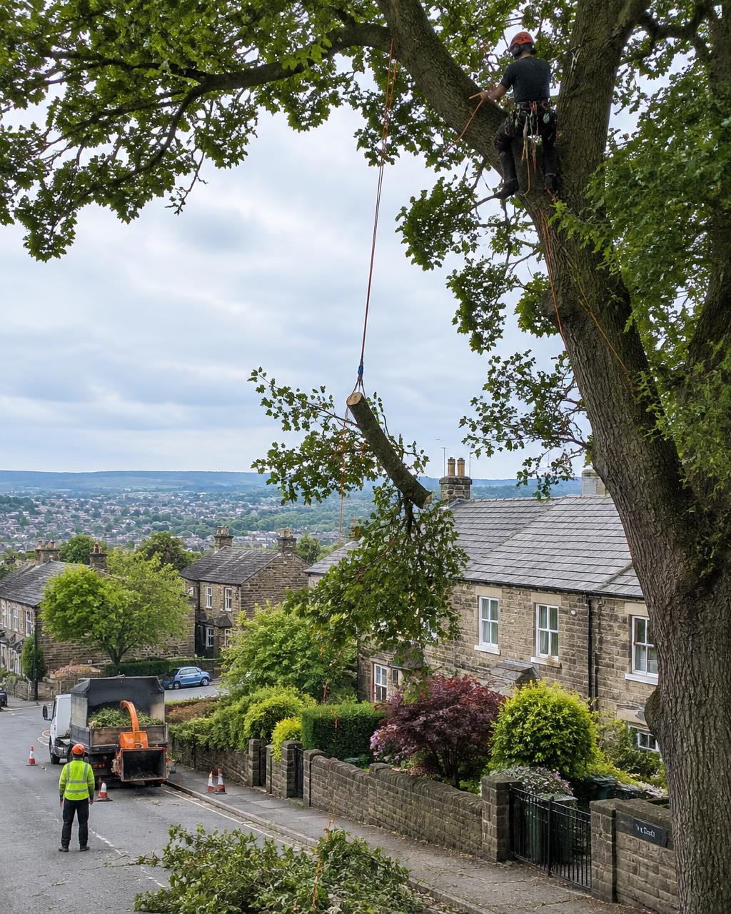 Tree Felling & Removal